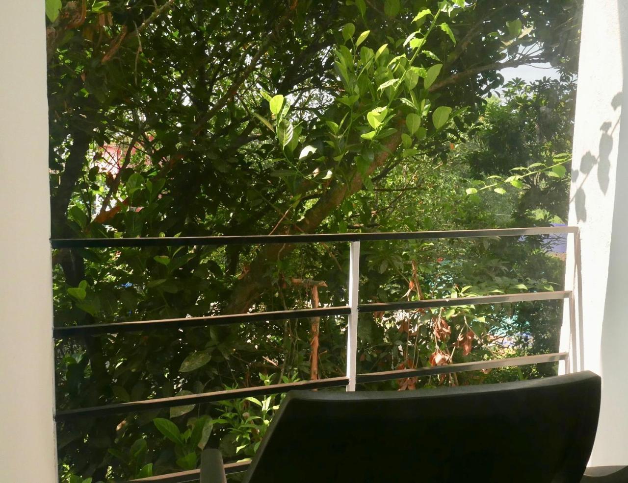 Angelo'S Place Arambol Εξωτερικό φωτογραφία